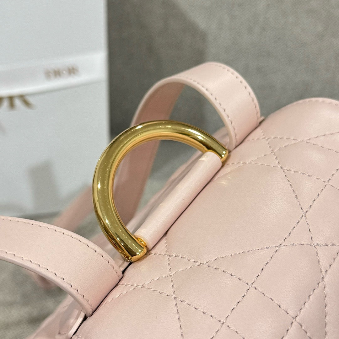 디올 / 카로 백팩 미디엄