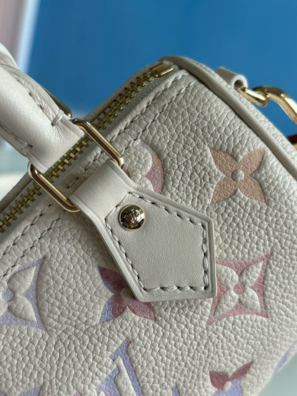 루이비통 / 나노 스피디