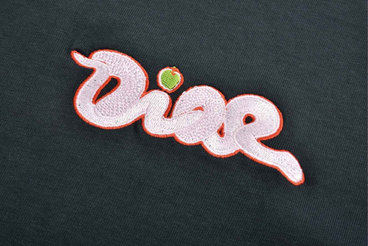 디올 / DIOR AND KAWS 티셔츠