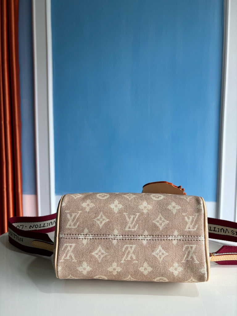 루이비통 / 스피디 반둘리에 20