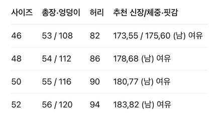 디올 / 오블리크 로고 쇼츠