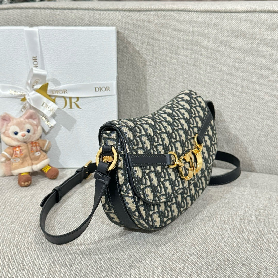 디올 / 베사체 스몰 백
