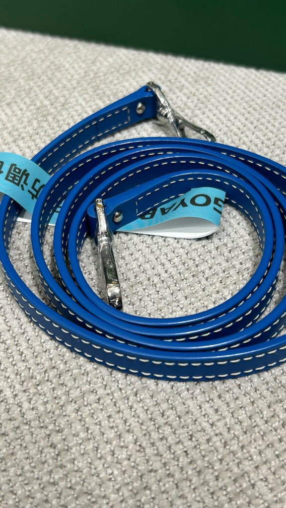 고야드 / 뮤즈 바니티 미니