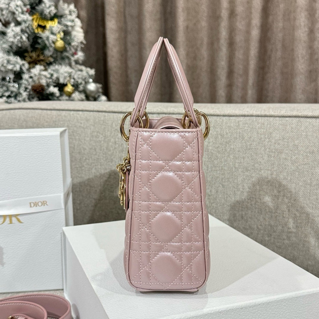 디올 / 레이디 디올 스몰 백