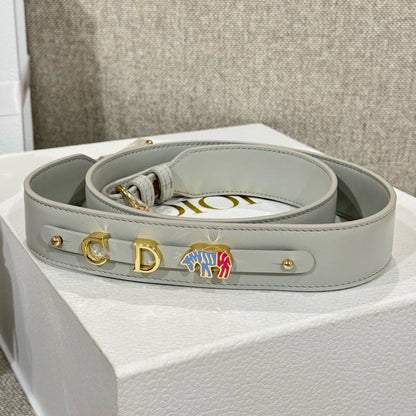 디올 / 레이디 디올 스몰 백