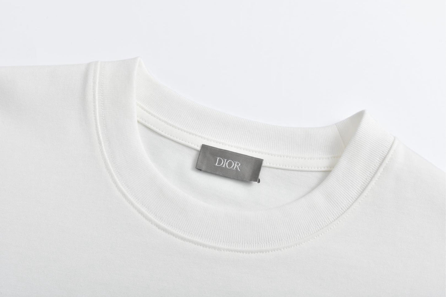 디올 / DIOR AND KAWS 티셔츠, 캐주얼 핏