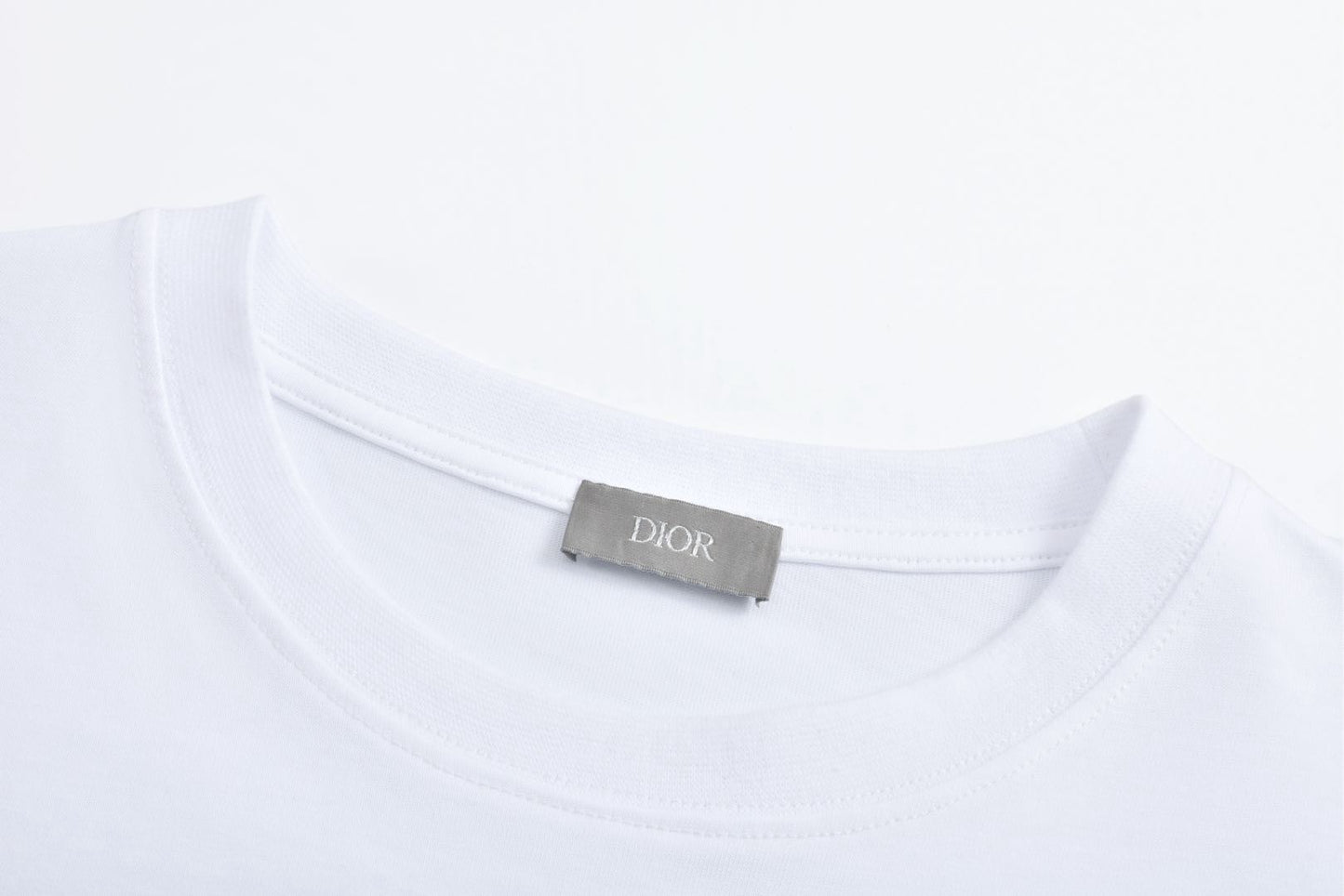 디올 / DIOR AND KAWS 티셔츠